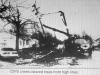 November 19, 1991 Microburst/Tornado Damage