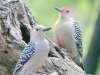 Crab Orchard Wildlife Refuge