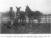 Williamson County Fair Ground