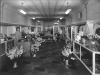 Stylart Shoppe 1941